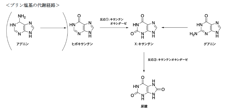 解説画像
